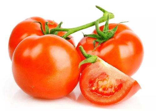 番茄娱乐圈读心吃瓜文,揭秘明星内心世界，吃瓜群众必备指南